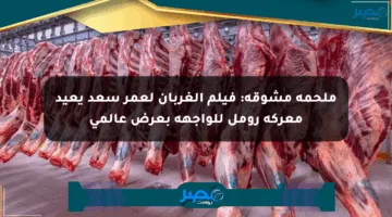 ملحمة مشوقة: فيلم الغربان لعمر سعد يعيد معركة رومل للواجهة بعرض عالمي